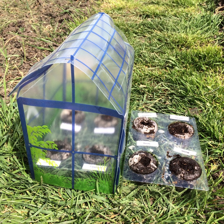 Огород в песочнице