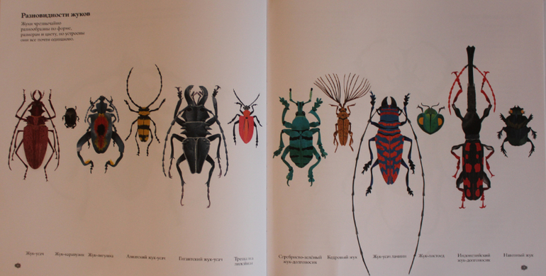 Наша книжная жизнь