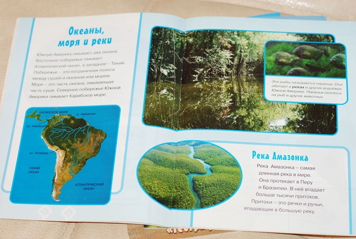 Книга о животных и маленькие географические атласы.