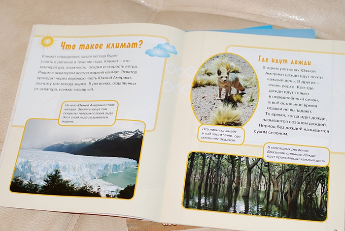 Книга о животных и маленькие географические атласы.