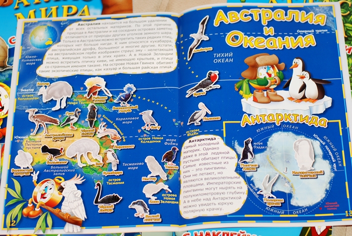 Книга о животных и маленькие географические атласы.