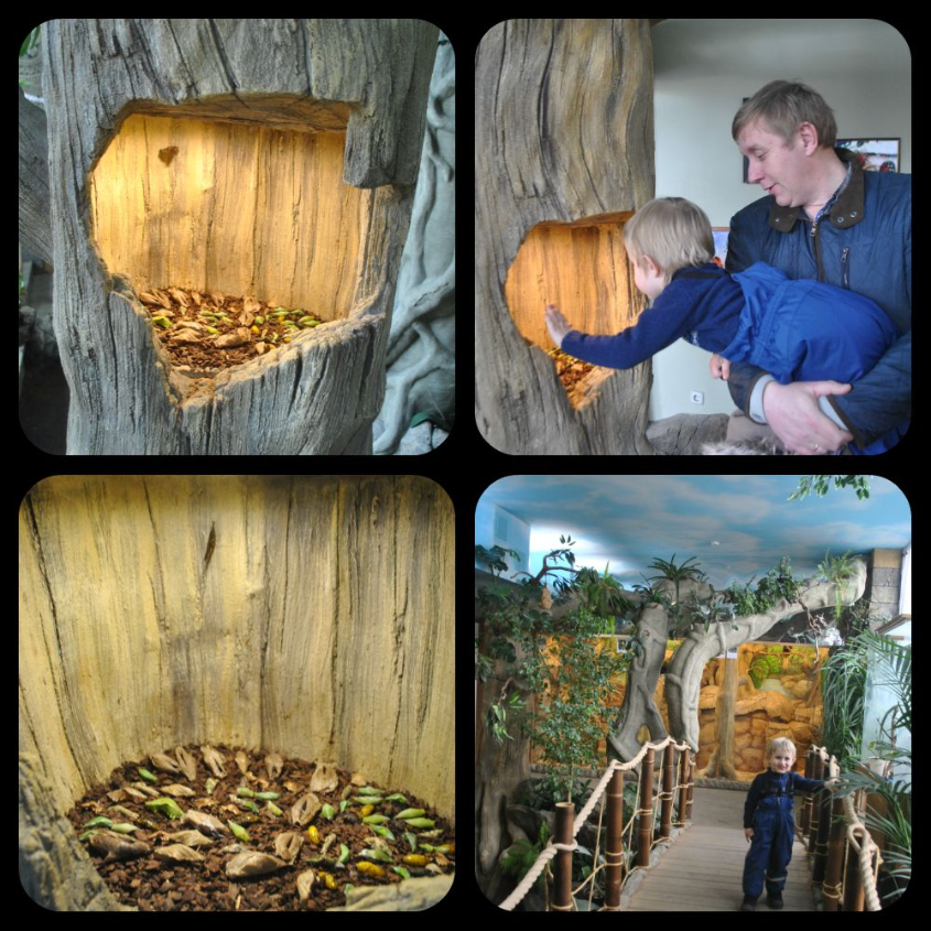 Океанариум-экзотариум «Тайны океана» и «Сад бабочек»: наши впечатления