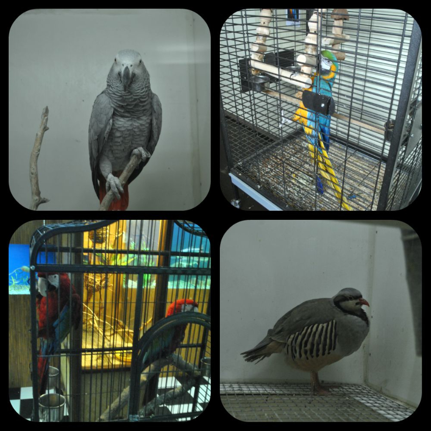 Океанариум-экзотариум «Тайны океана» и «Сад бабочек»: наши впечатления