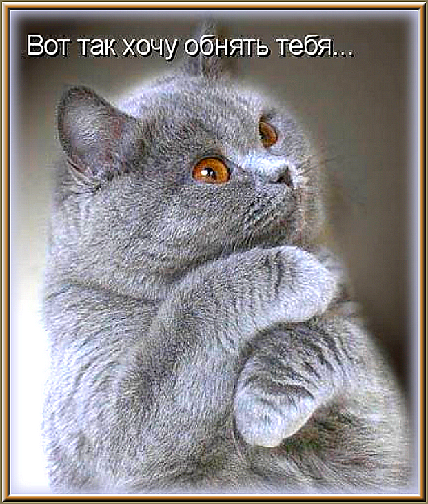 3274a5671e0a2ae31be117d6a187590c.png