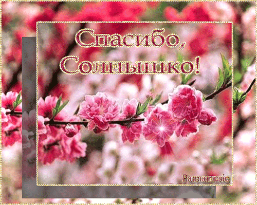 ab207e092e06e7fb956eb0d6c00de70e.gif
