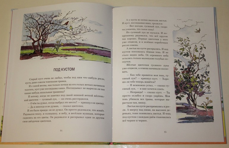 Немножко про новинки ))