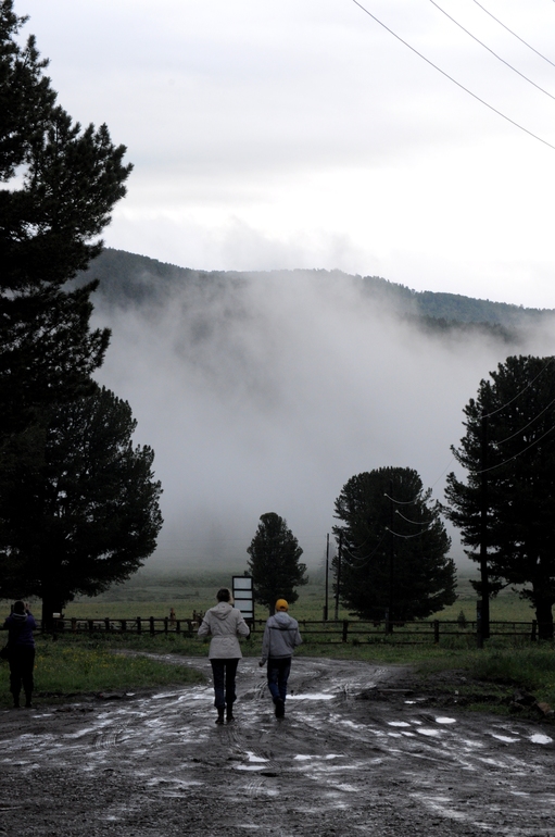 Воспоминания о лете