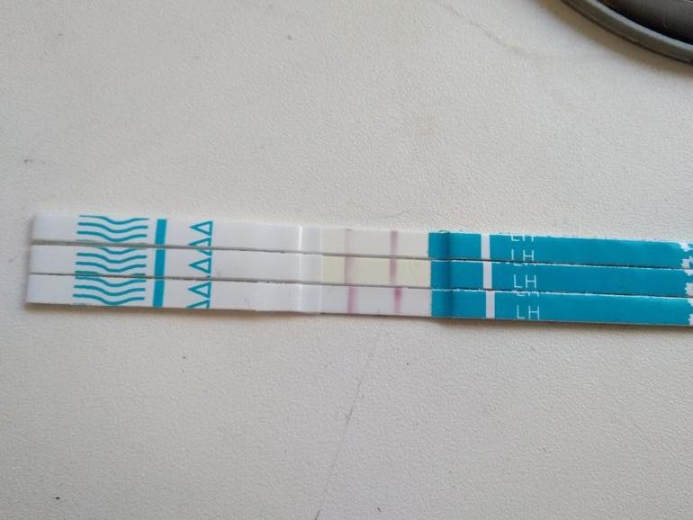 12 д ц. Электронный тест на беременность на 12 дпо. Что такое дц при беременности. 12 д ц. 12 дц тест на овуляцию.