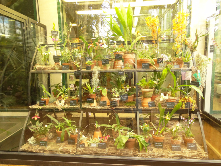 Выставка в аптекарском огороде