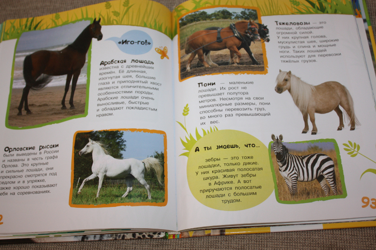 Пополнение на книжной полке)