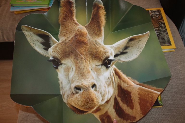 Пополнение на книжной полке)