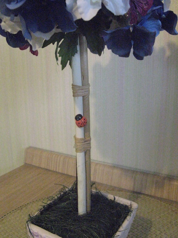 Мой первенец