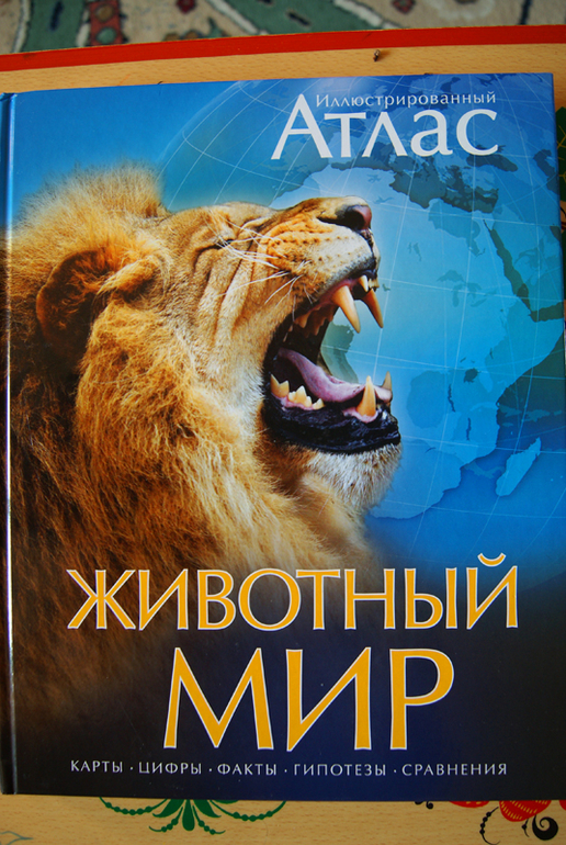 Наши зимние новинки.