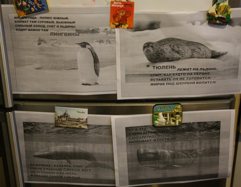 ФМ ТН Арктика и Антарктика