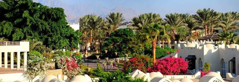 помогите с отпуском.........КУДА???? египет,тайланд(краби),вьетнам( фантьет)