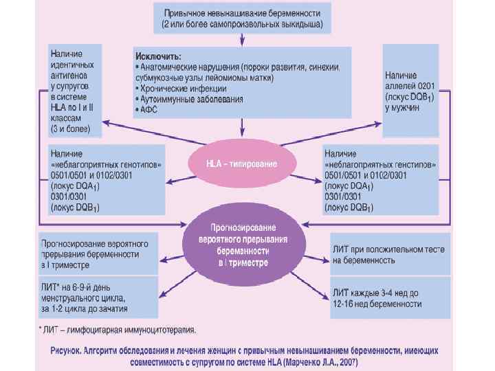 Привычный выкидыш презентация