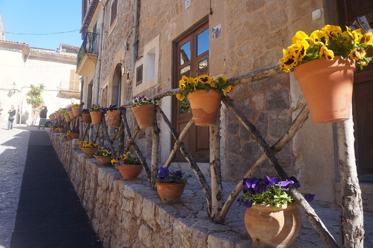 ТРАНСФЕР в Испании (Майорка/ MALLORCA)