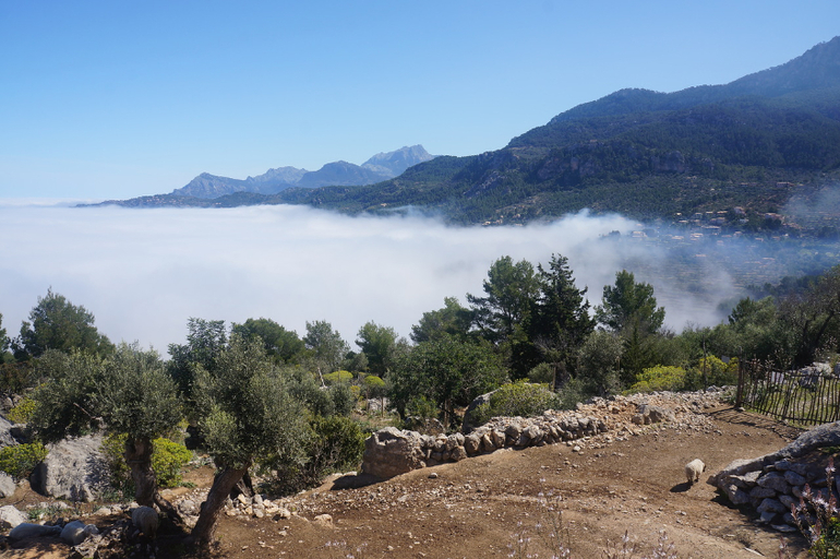 ТРАНСФЕР в Испании (Майорка/ MALLORCA)
