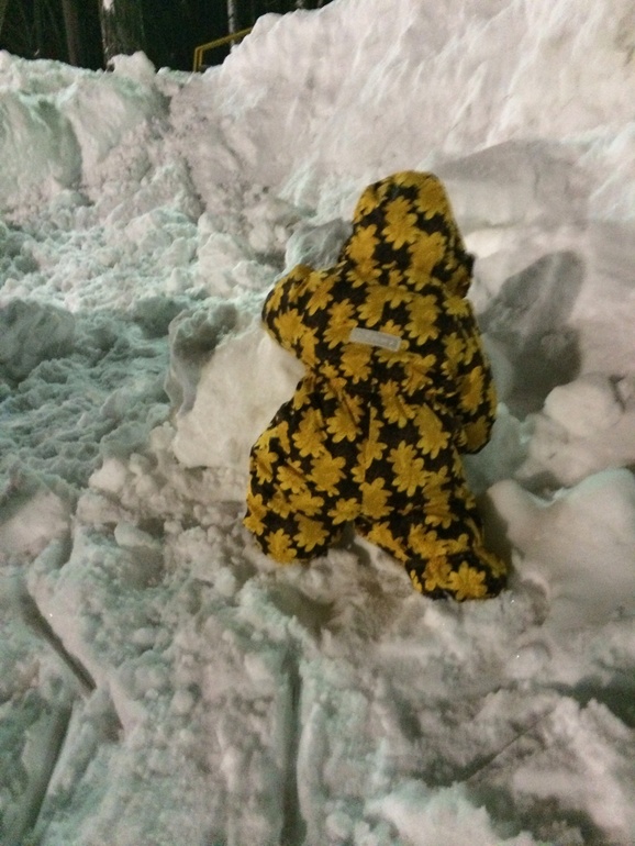 Наши будни...