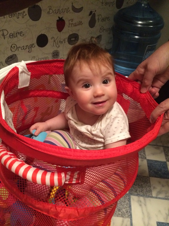 Наши будни...