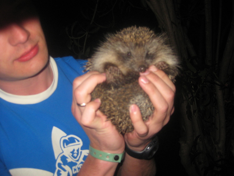 Наша первая заграничная поездка с семьей!