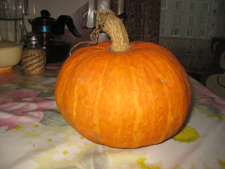 Наши тыквенные деньки
