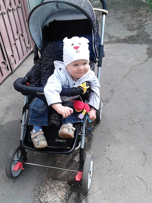 Когда деревья были большими....