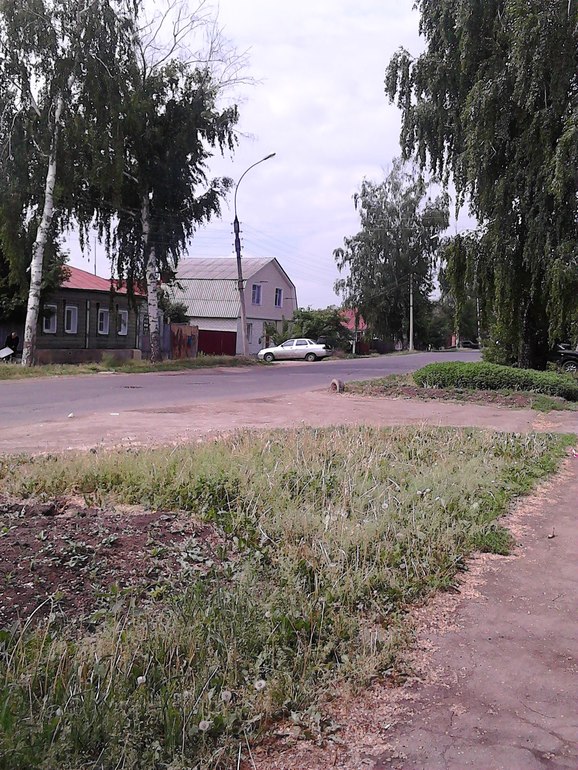 Когда деревья были большими....