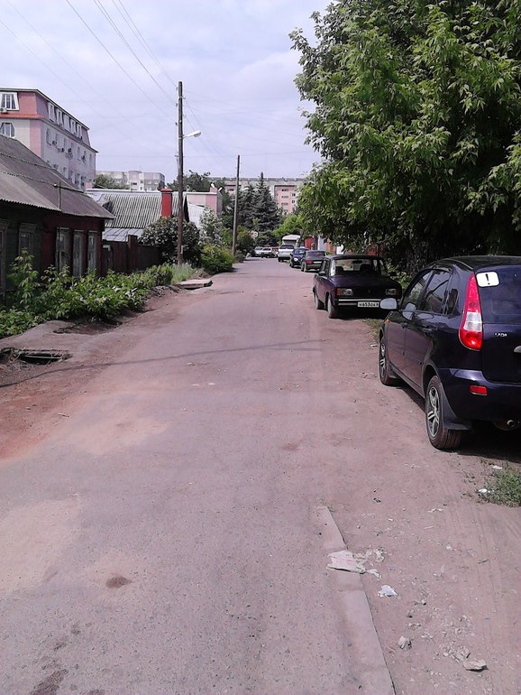 Когда деревья были большими....