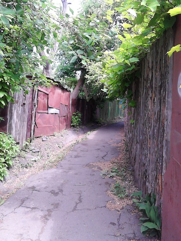 Когда деревья были большими....