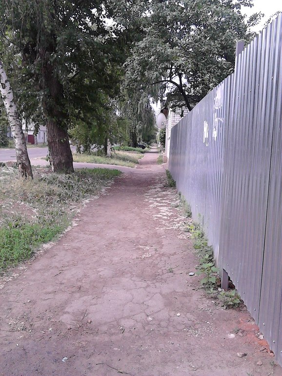 Когда деревья были большими....