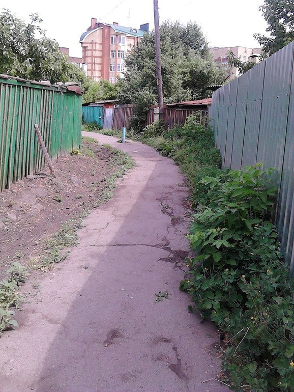 Когда деревья были большими....