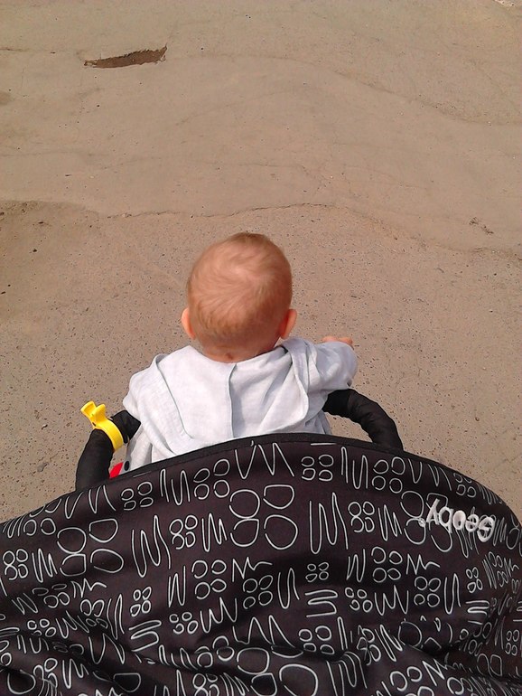 Когда деревья были большими....