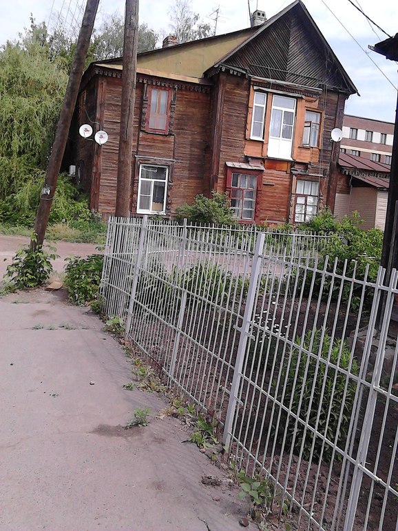 Когда деревья были большими....