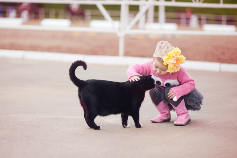 Летом в парке