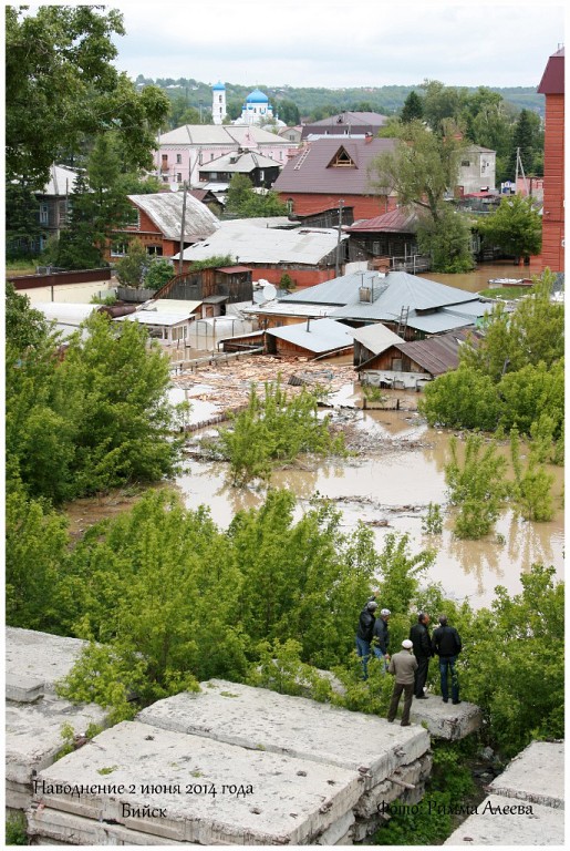 ПОМОГИТЕ АЛТАЮ