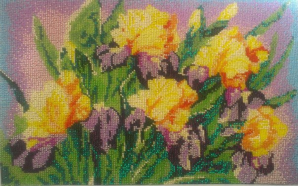 Ирисы и сирень.