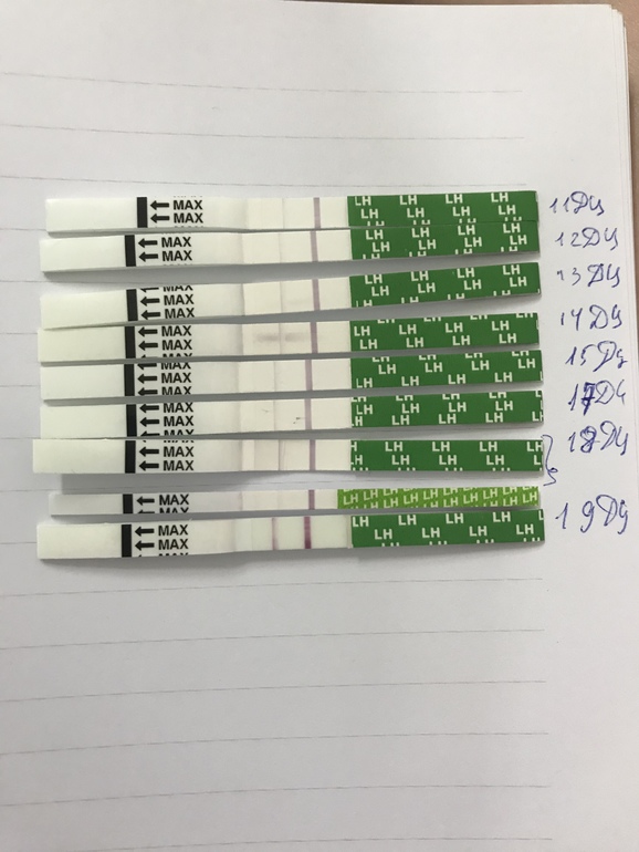 овуляция день цикла. тест для овуляции для зачатия ребенка. сегодня овуляция. тест на овуляцию. сегодня овуляция.