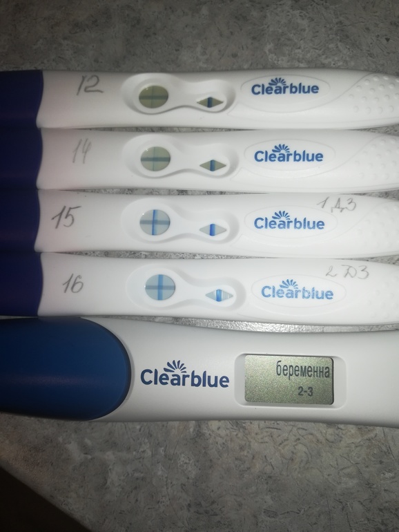 Как выглядит положительный тест на беременность клеар блю фото результат