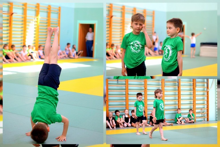 Никиткины достижения