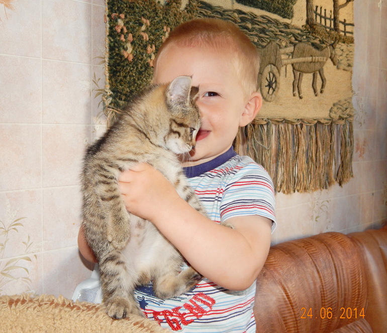 Вот такая у нас идиллия :)