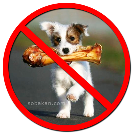 Какие кости давать щенкам. Нельзя кормить животных. Кормить собак запрещено. Животных не кормить.