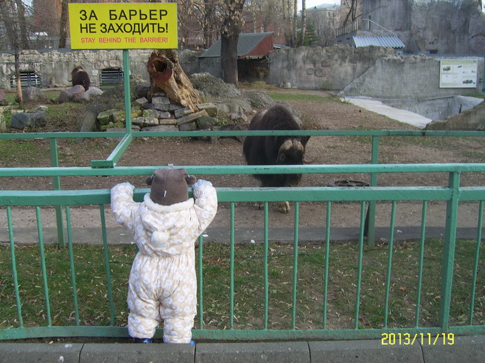 Как мы побывали в зоопарке