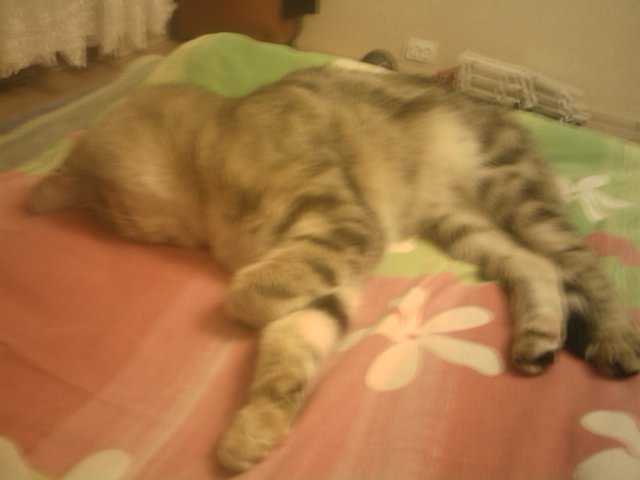 Как так можно спать?