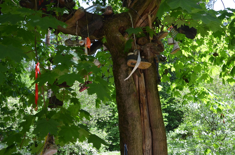 Здравствуй, лето - 2014! (18 мая)