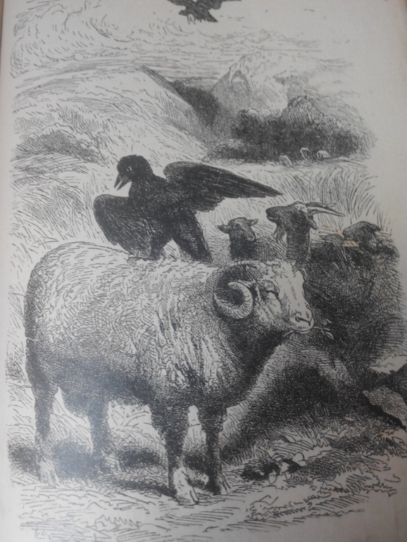 Басни Н. А. Крылова