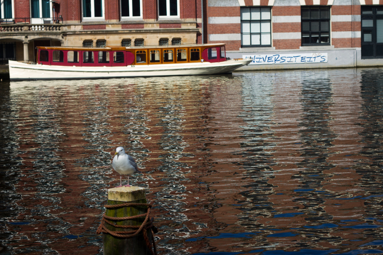 Путешествие по Европе. Часть 1 - Амстердам