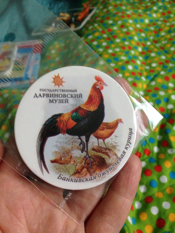 Сокровища!)