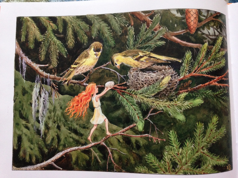 Книжное пополнение)