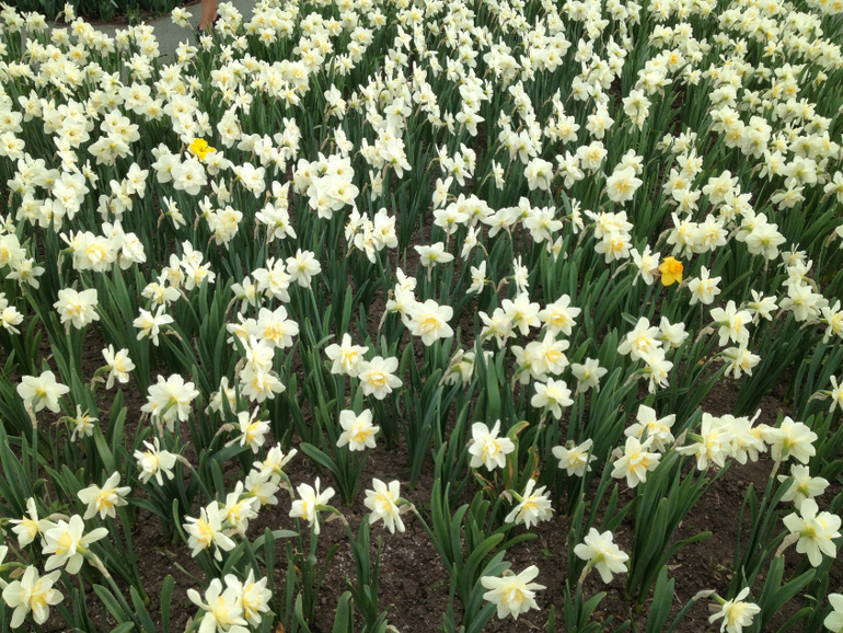 2 мая. Парк Горького